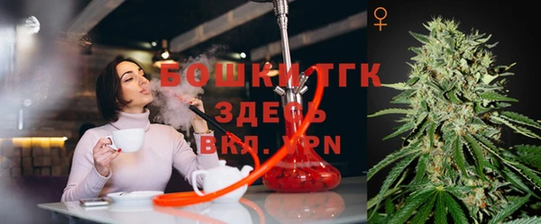 ПСИЛОЦИБИНОВЫЕ ГРИБЫ Тавда