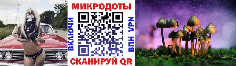 Псилоцибиновые грибы прущие грибы  Можайск 